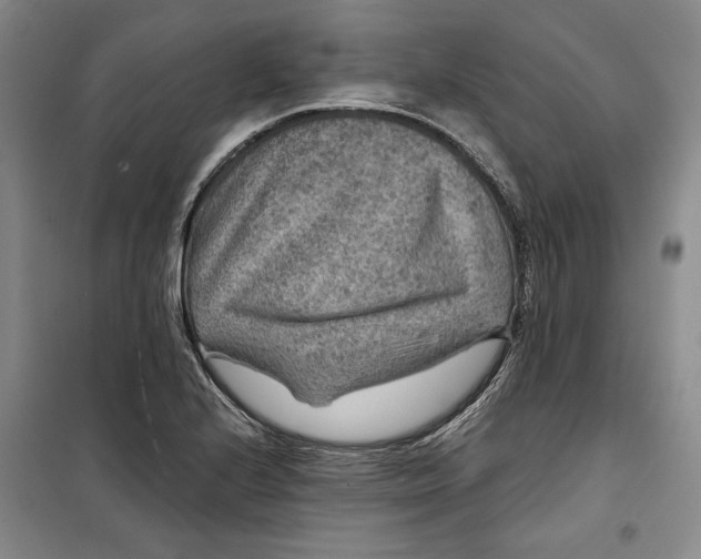 X0000099991224200806131427