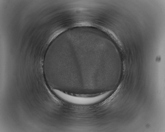 X0000099991225200806131427