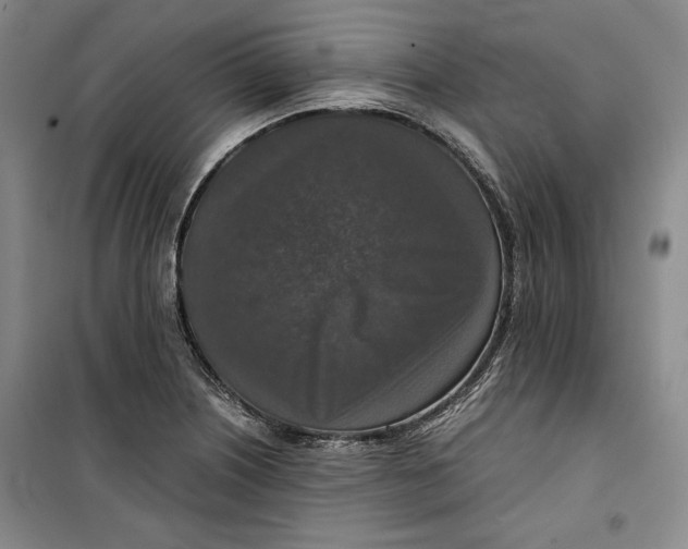 X0000099991226200806131427