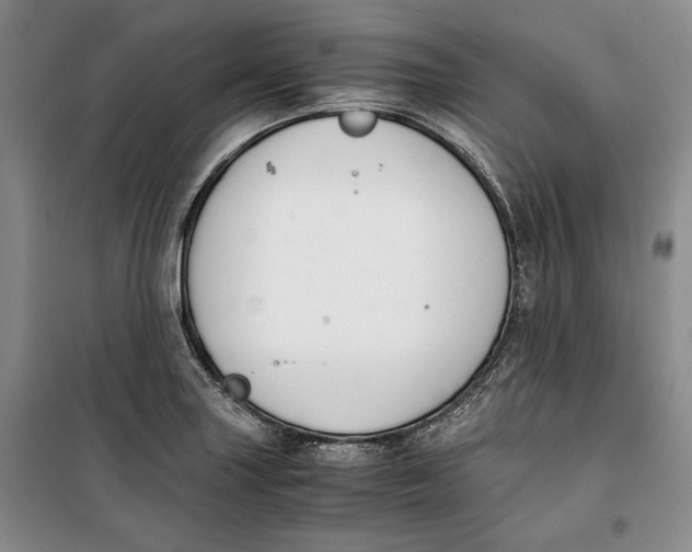 X0000099991227200806131427