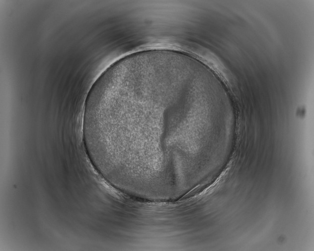 X0000099991228200806131427