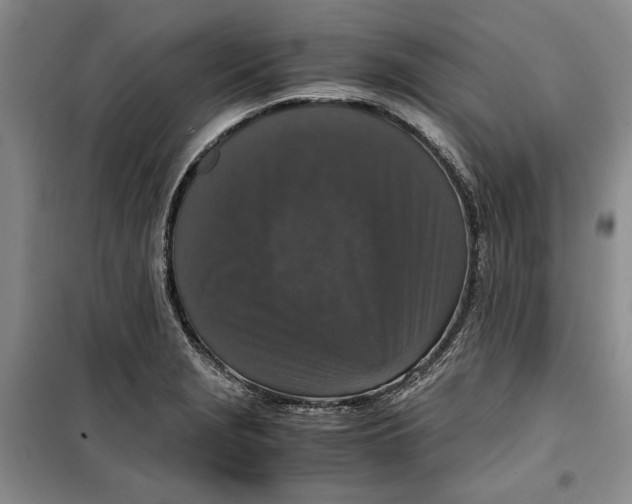 X0000099991229200806131427