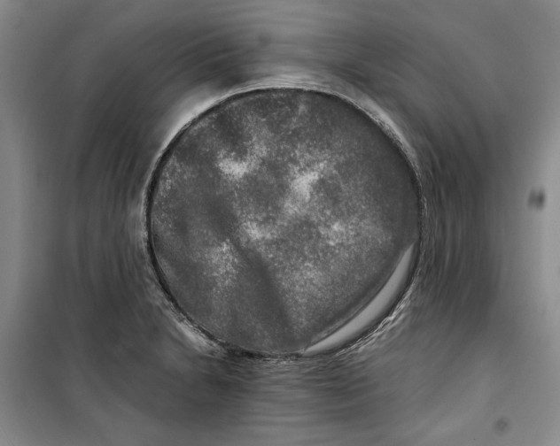 X0000099991230200806131427