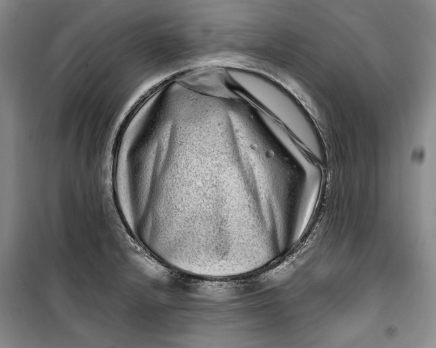 X0000099991232200806131427