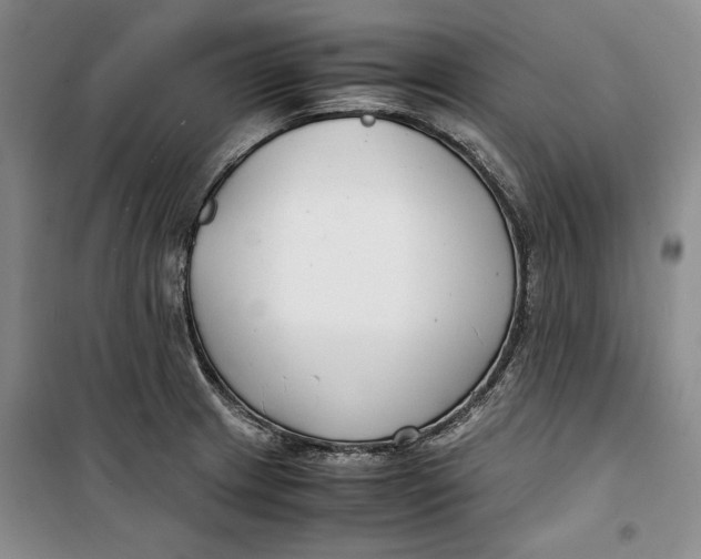 X0000099991233200806131427