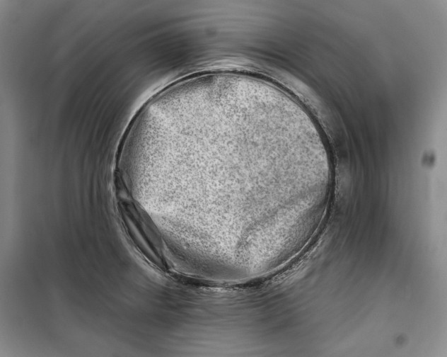 X0000099991234200806131427