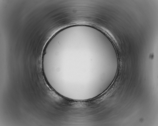 X0000099991236200806131427