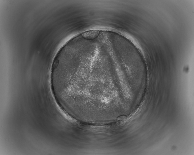 X0000099991237200806131427