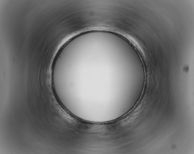 X0000099991238200806131427