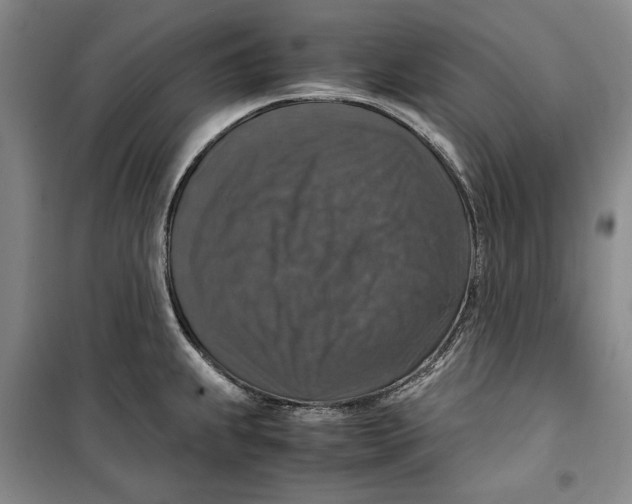 X0000099991239200806131427