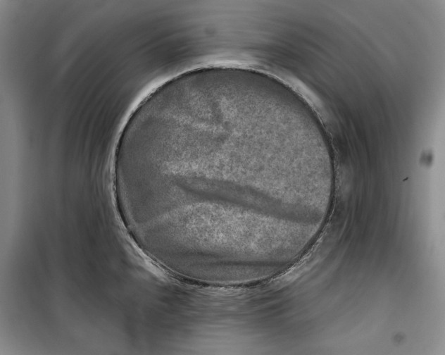 X0000099991240200806131427