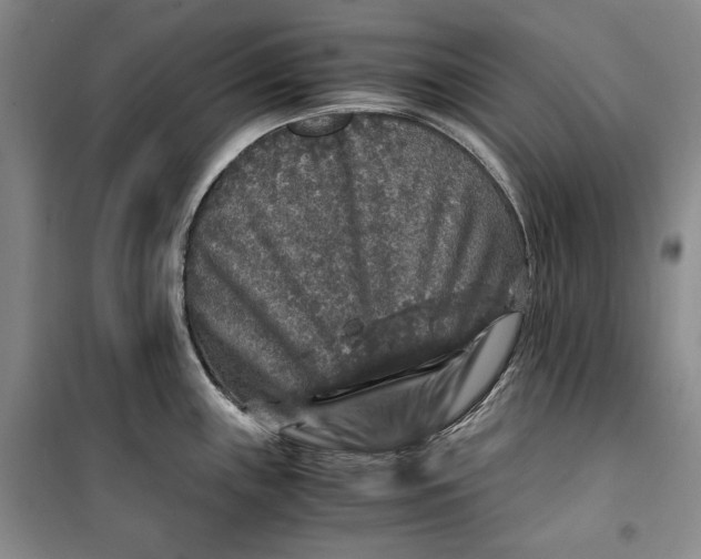 X0000099991243200806131427