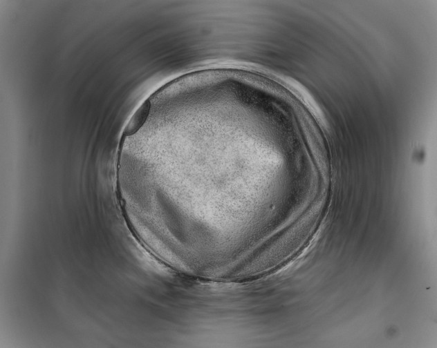 X0000099991244200806131427