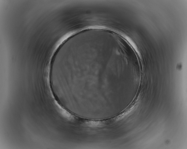 X0000099991245200806131427