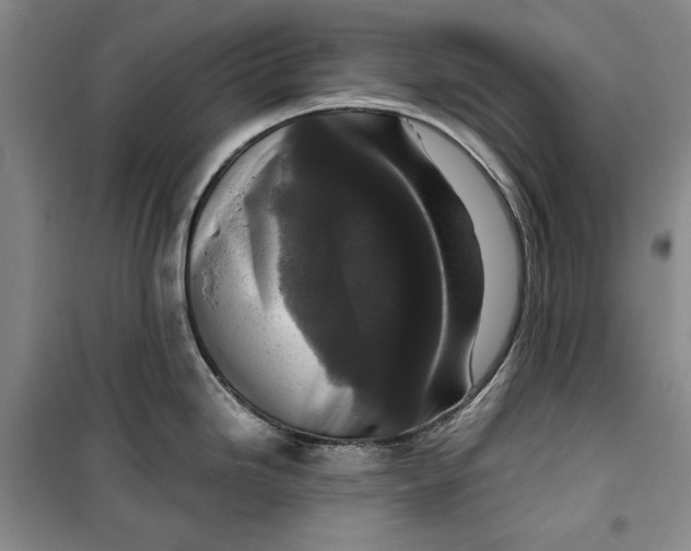 X0000099991246200806131427