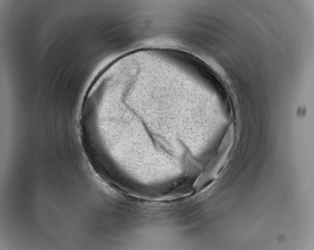 X0000099991248200806131427