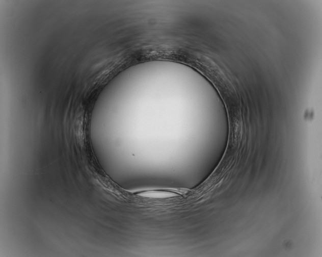 X0000099991250200806131427