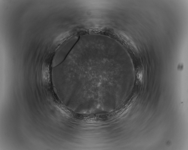 X0000099991252200806131427