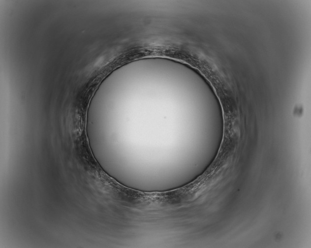 X0000099991253200806131427