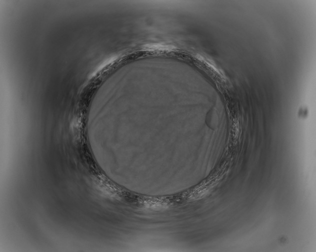 X0000099991254200806131427