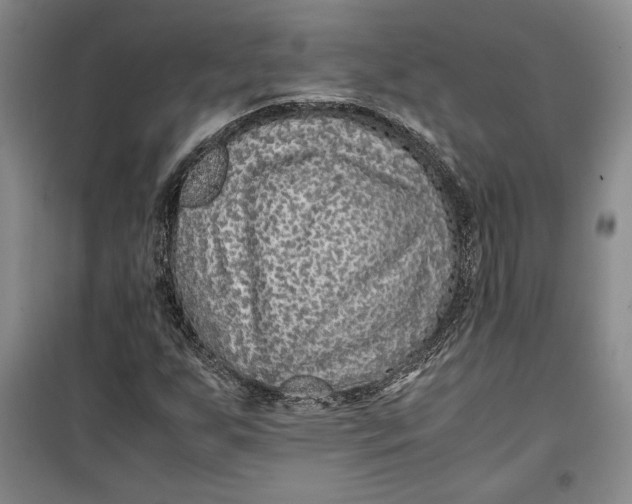 X0000099991255200806131427