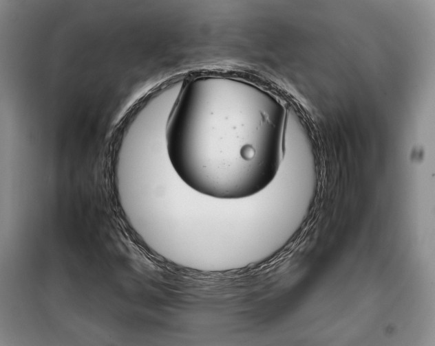 X0000099991256200806131427