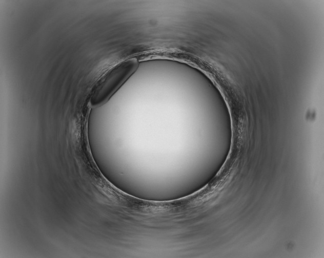 X0000099991257200806131427