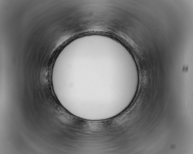 X0000099991258200806131426