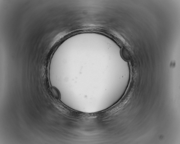 X0000099991259200806131426