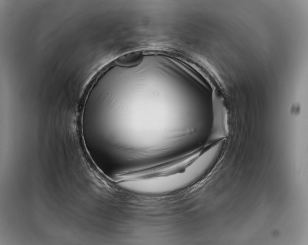 X0000099991260200806131426