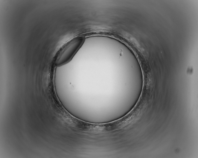 X0000099991261200806131426