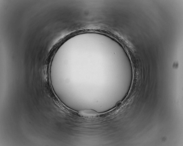 X0000099991262200806131426