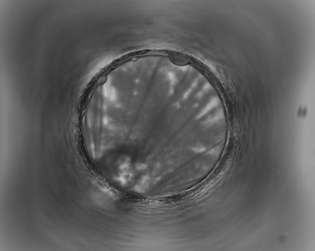 X0000099991263200806131426