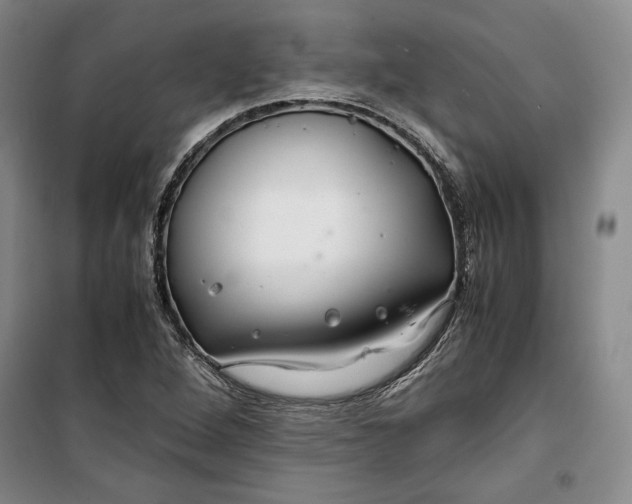 X0000099991264200806131426