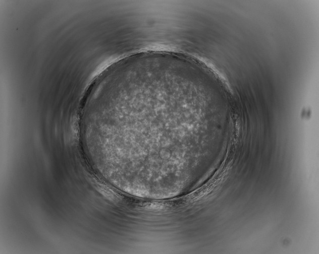 X0000099991266200806131426