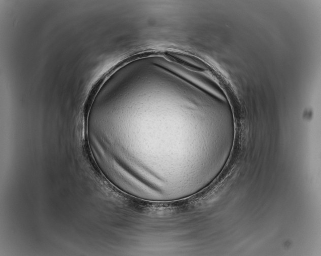 X0000099991269200806131426