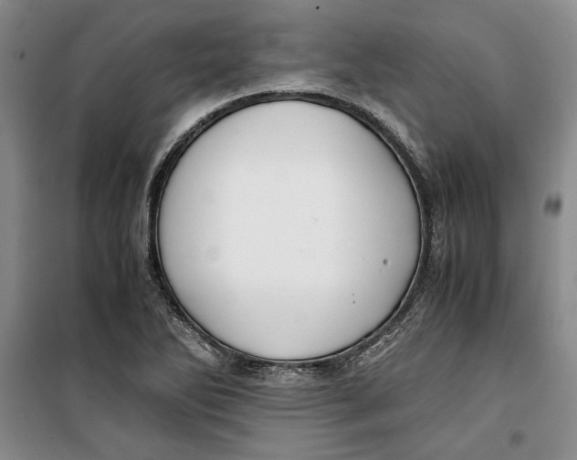 X0000099991270200806131426