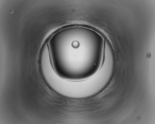 X0000099991271200806131426