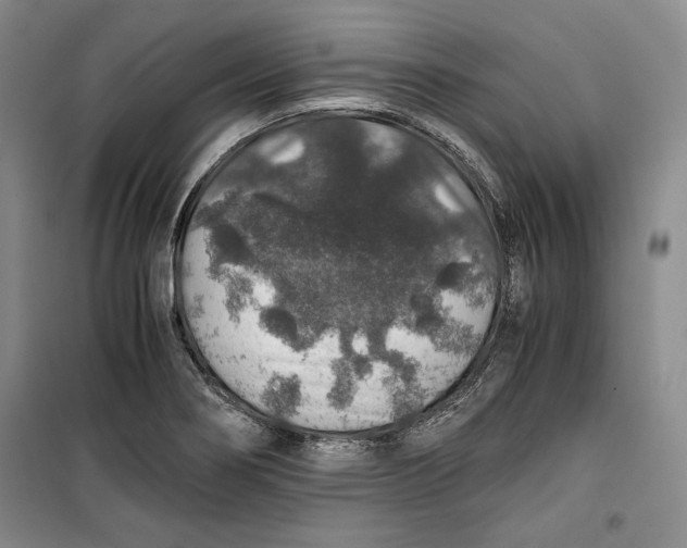 X0000099991274200806131426