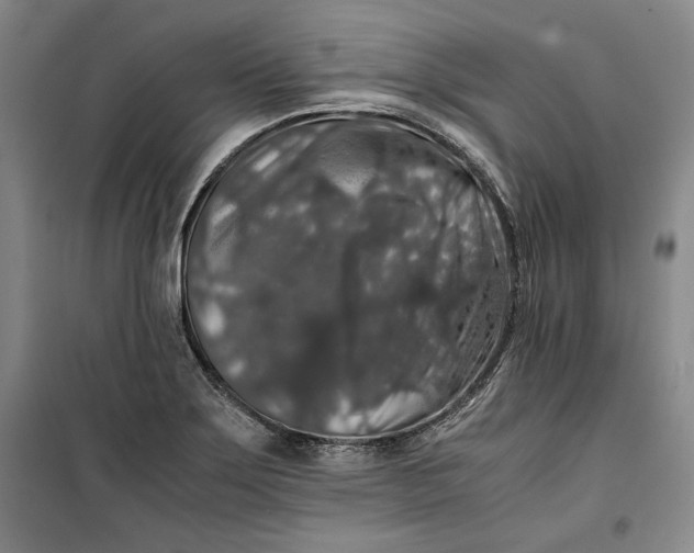 X0000099991275200806131426