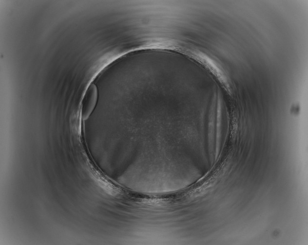 X0000099991276200806131426