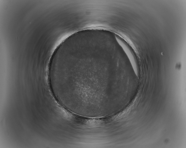 X0000099991277200806131426