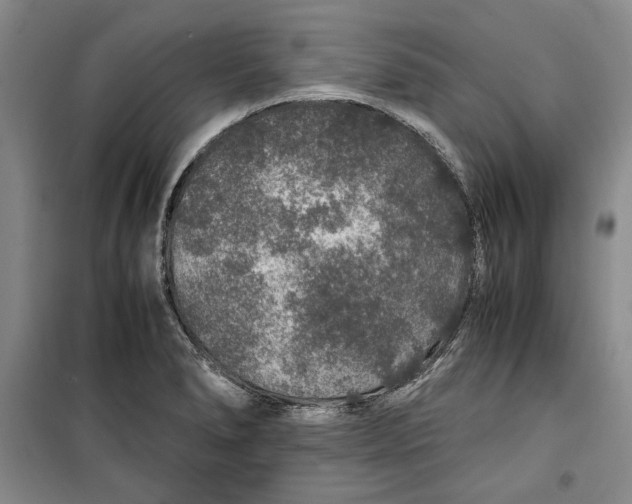 X0000099991278200806131426