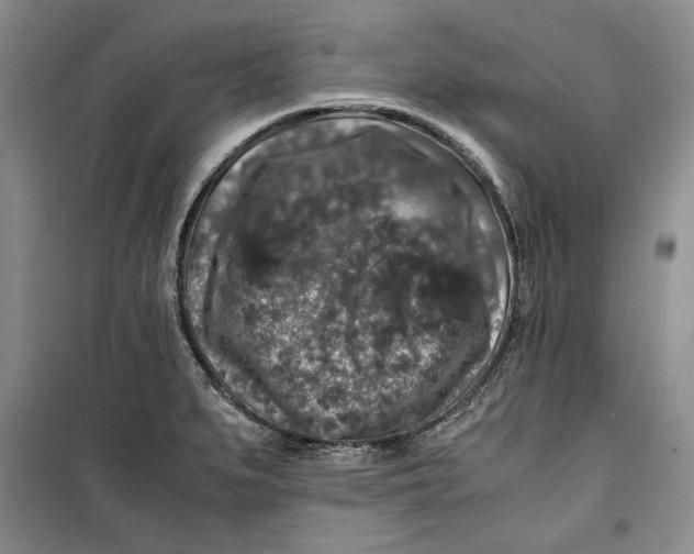 X0000099991279200806131426