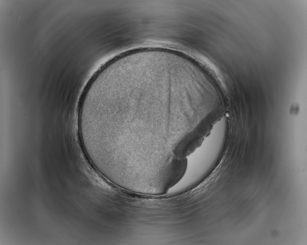 X0000099991280200806131426