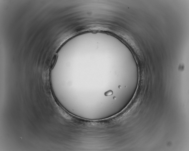 X0000099991281200806131426