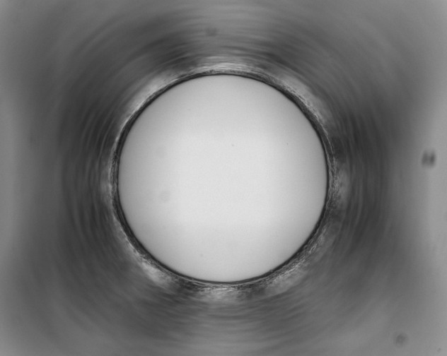 X0000099991282200806131426