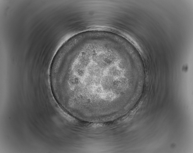 X0000099991283200806131426