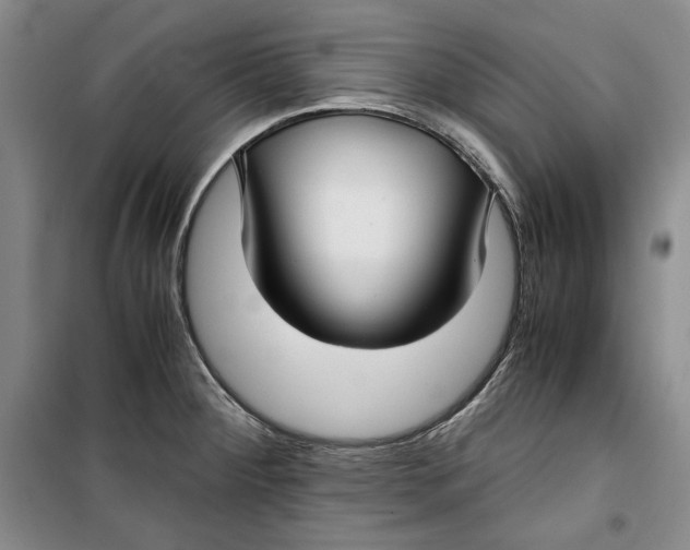 X0000099991284200806131426