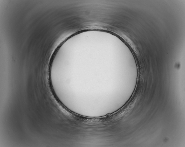 X0000099991285200806131426